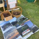 초포농장 | [불모지장 후기] 전주에서 제로웨이스트를 느끼고 맛보고 실천할 수 있는 곳 💛 불모지장 마켓