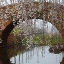 솔향기 가득한 펜션 이미지