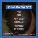 우리동물메디컬센터 이미지