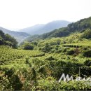 이원규농장 이미지