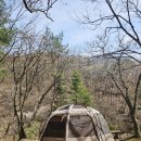 옥성자연휴양림제1주차장 | 국립 유명산 자연휴양림 캠핑장 제2캠핑장 205사이트 계곡 물소리 힐링 봄캠핑 후기