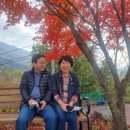 당치회관 이미지