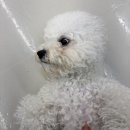 더개편한세상
