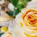 24. 8. 8(목) 룻기 1장, 사도행전 26장 이미지