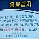 반여초교 Daum카페