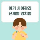 English Playtime | 아기 치아 관리, 언제부터 시작하지? 단계별 양치법과 주의사항