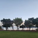 풍남오리탕 이미지