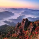 아주특별한여행 이미지