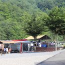 엄둔 솔밭 빌리지 이미지