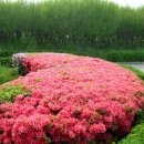 잠원강변 이미지