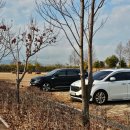 하단동1142 이미지