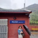 라즈 여행사