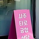 힐링타로카페