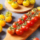 토마토인터넷 이미지