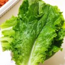 쭈닭에빠지다 | 양산 쭈꾸미 맛집 쭈닭에 빠지다 포장 후기