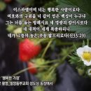 성도농장 이미지