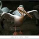 [070922]용인 에버랜드 주토피아에서... 이미지