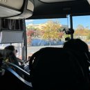 동부번역 | 미동부 캐나다 패키지여행 후기 (+임수훈가이드)