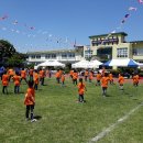 도담이네 이미지