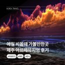 제주뮤지엄컴플렉스(주) | 제주 애월 비오는날 실내 아르떼뮤지엄 입장권 할인 카페 티