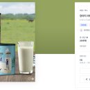 디자인라떼 브런치