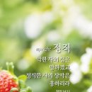 명문카닥터