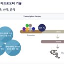 주식회사 보고바이오