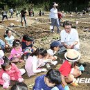 낙성대동-38 이미지