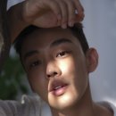 이상은 살아있다. 이미지