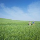 네모펜션 이미지