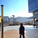 남구청 북카페 | 부산 남구청 '북카페' 후기 (24.01.03)