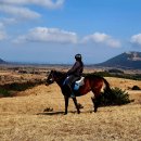 동거목장 이미지