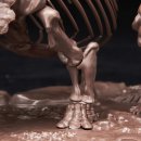 트리케라톱스-1 이미지