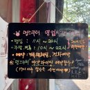 멍스 | 경주이색체험 스쿠터대여 멍스쿠터 후기 1시간 추천코스