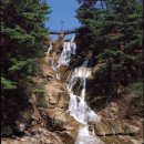 산정호수 아일랜드 이미지