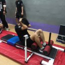 체대입시FA 이미지