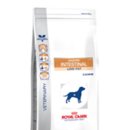 문정힐스 동물병원 이미지