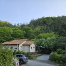 완두콩가족펜션 이미지