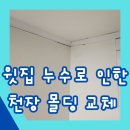 상계약수 | 윗집 누수로 인한 천장 몰딩 교체