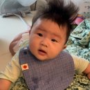 도호농장 이미지