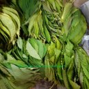 배티경로당 이미지