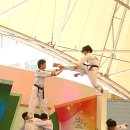 반딧불태권도체육관 이미지