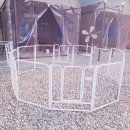 쌍둥이네 애견 이미지