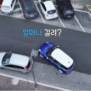 정체 들통날듯한 민박집 사장 제니 이미지