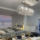 오룡미트