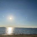 제부콤마씨(JEBU,SEA)