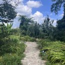 새실 | 영암 카페 추천 새실 내돈내산 후기