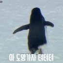 뒤죽박죽 이미지
