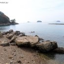 미스티크 이미지