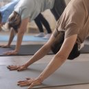 테라피 요가A 이미지